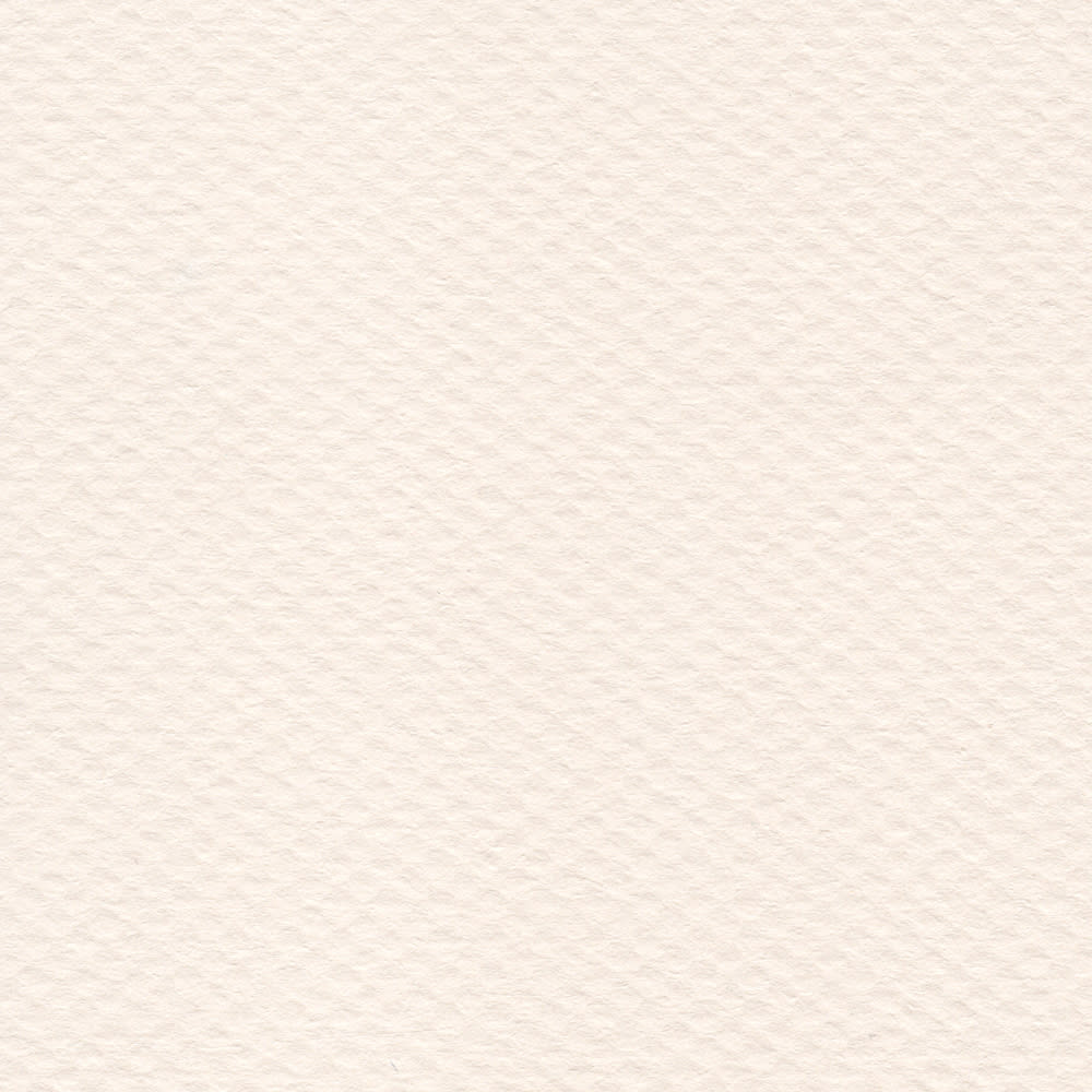 CARTULINA MI-TEINTES 160G (#110) FLOR DE LIS 50X60CM CANSON1