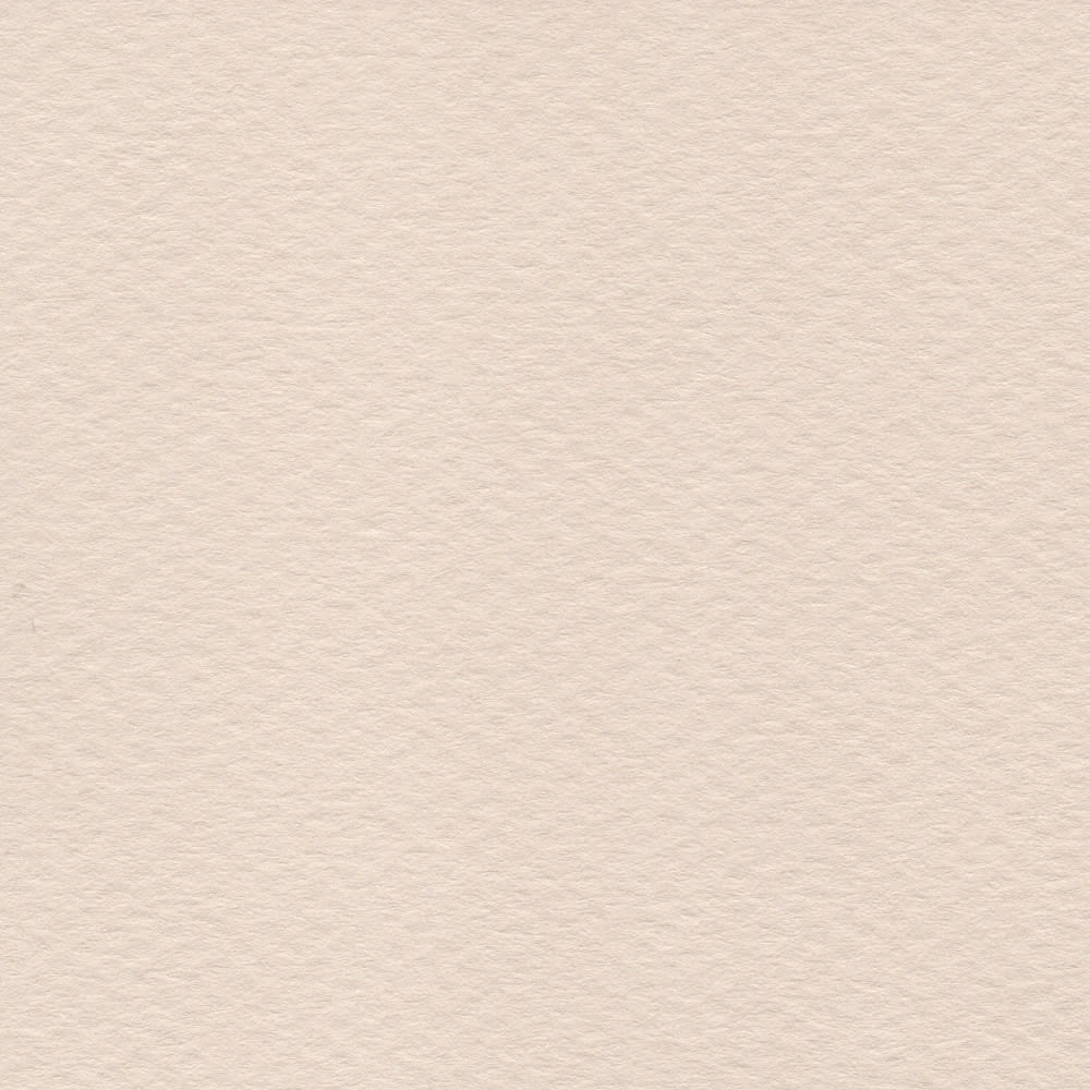 CARTULINA MI-TEINTES 160G (#111) MARFIL 50X60CM CANSON1