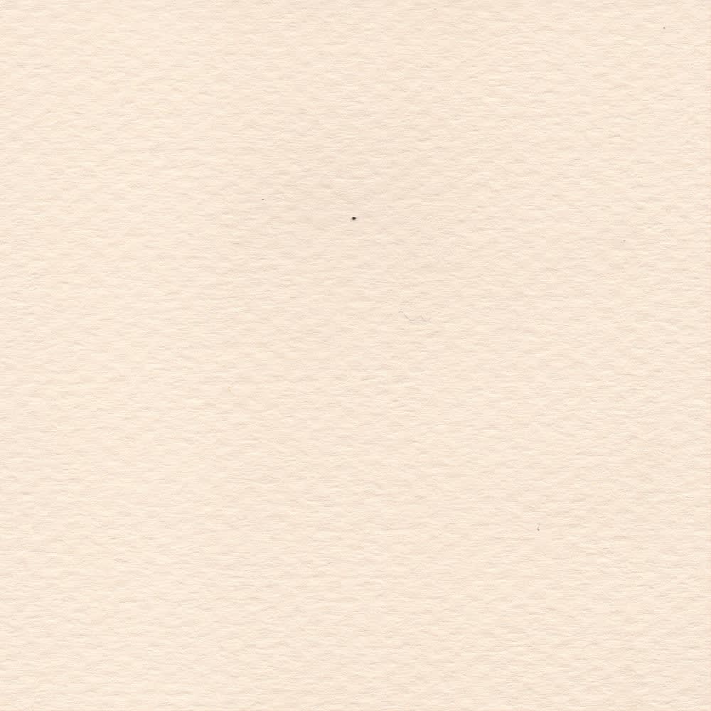 CARTULINA MI-TEINTES 160G (#112) ARENA 50X60CM CANSON1