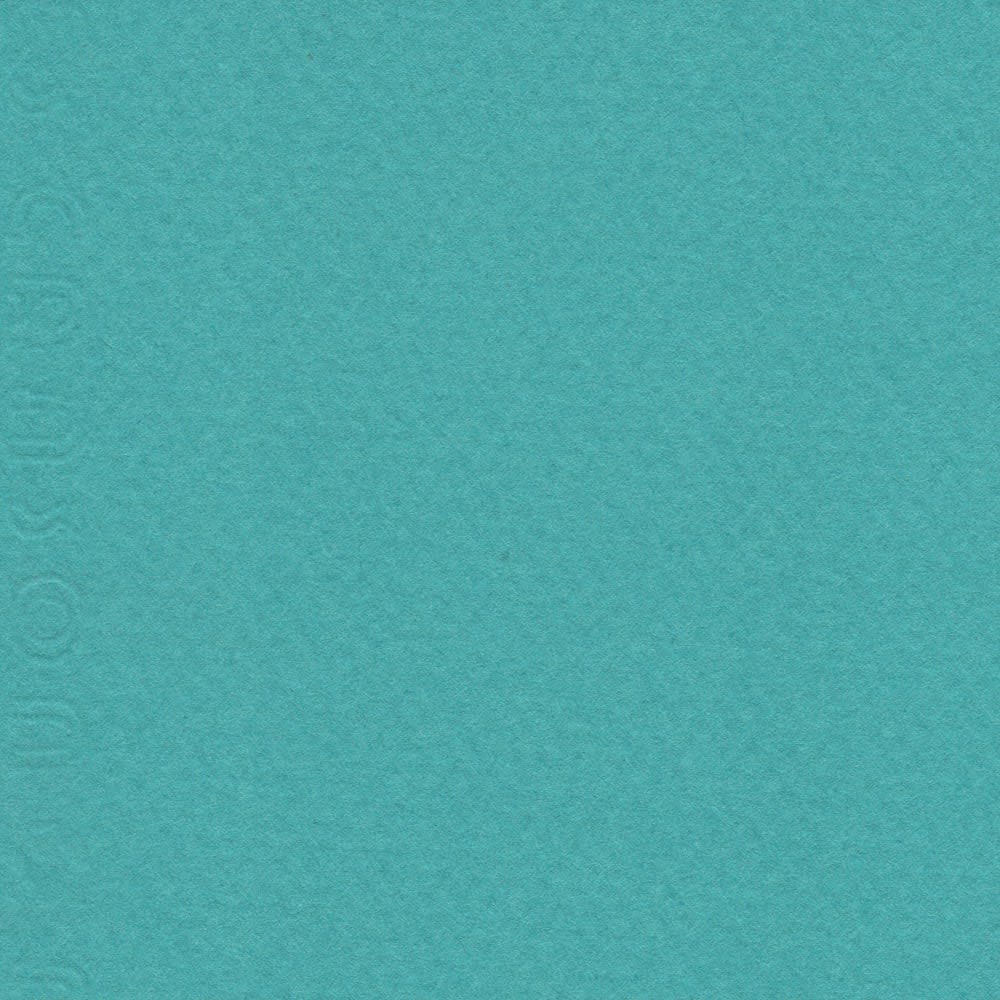 CARTULINA MI-TEINTES 160G (#119) MARES DEL SUR 50X60CM CANSON1