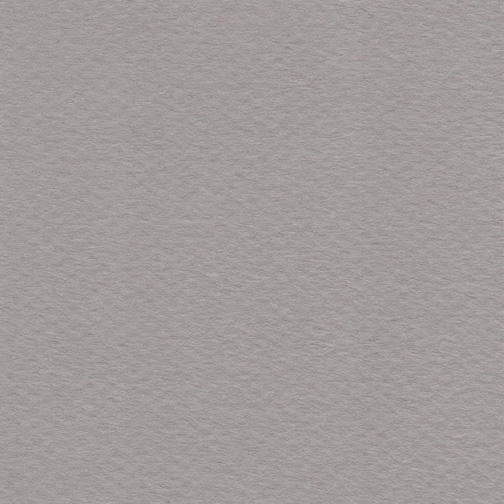 CARTULINA MI-TEINTES 160G (#122) FRANELA 50X60CM CANSON1