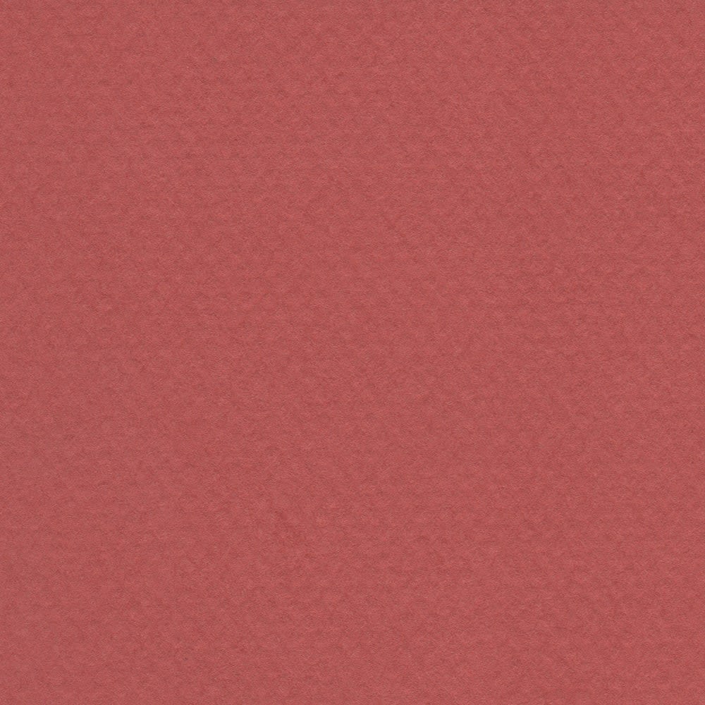 CARTULINA MI-TEINTES 160G GRIS (#130) TIERRA ROJA 50X60CM1