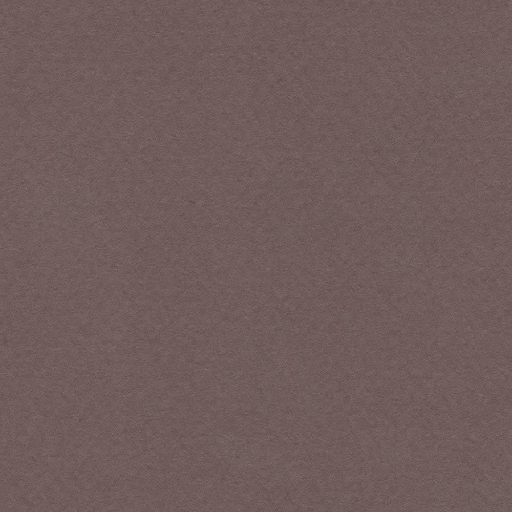 CARTULINA MI-TEINTES 160G (#133) SEPIA 50X60CM CANSON1