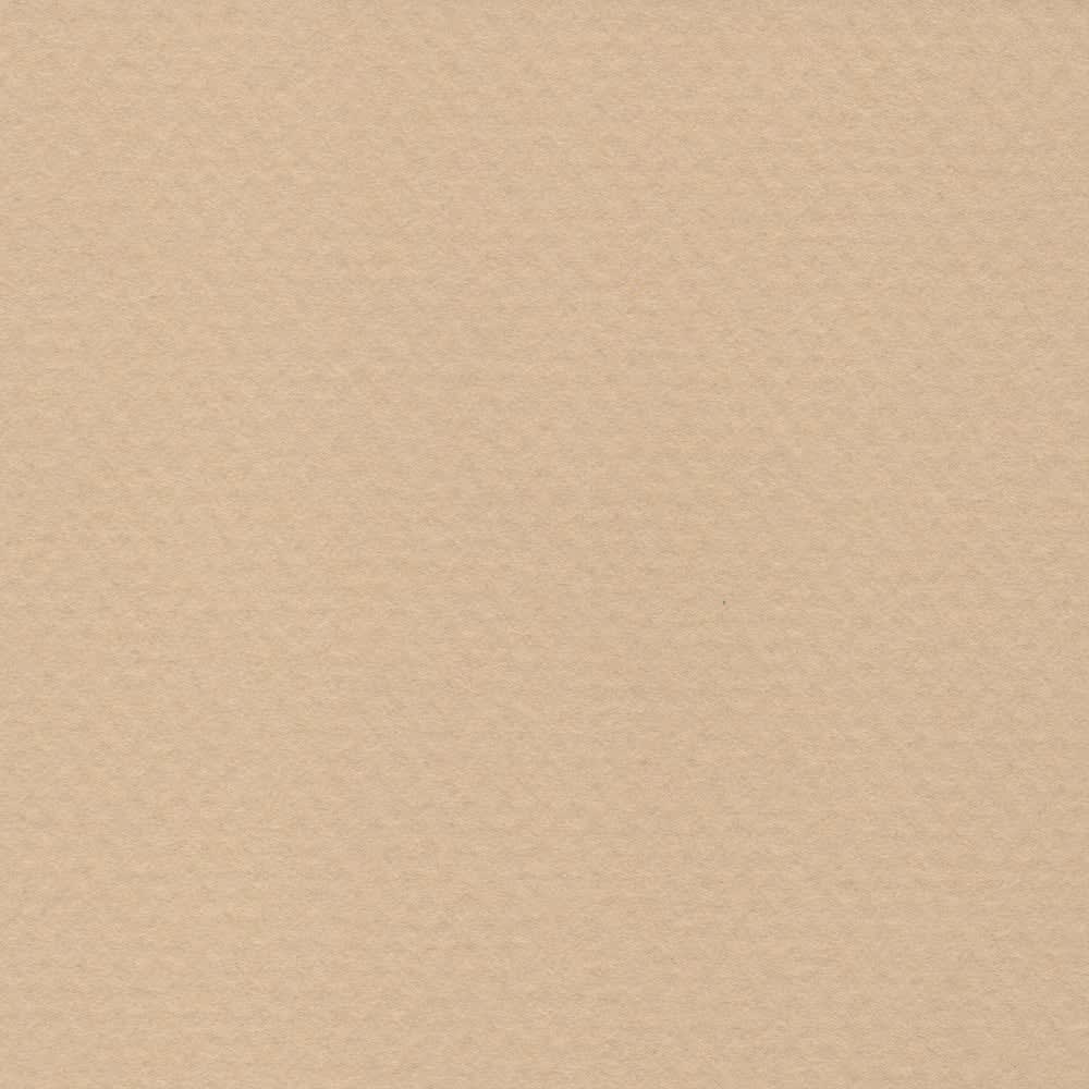CARTULINA MI-TEINTES 160G (#340) CAÑAMO CLARO 50X60CM CANSON1