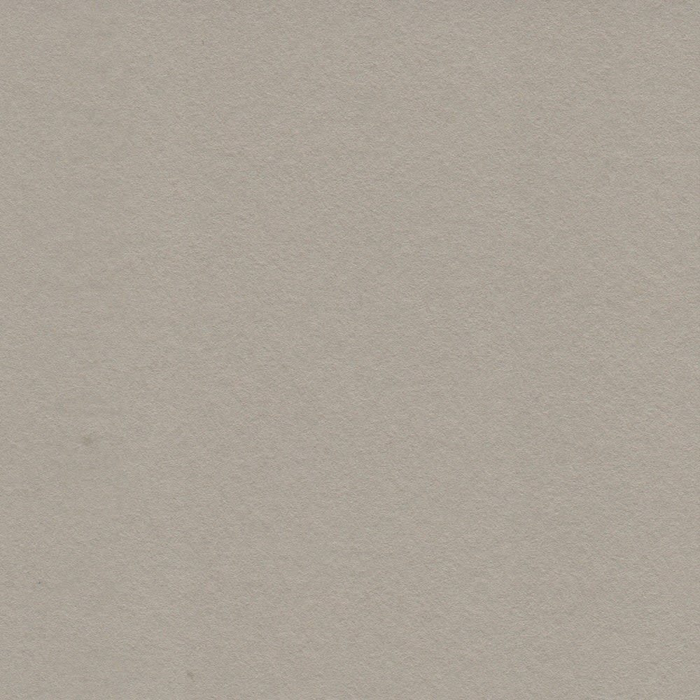 CARTULINA MI-TEINTES 160G (#343) GRIS TRIANÓN 50X60CM CANSON1