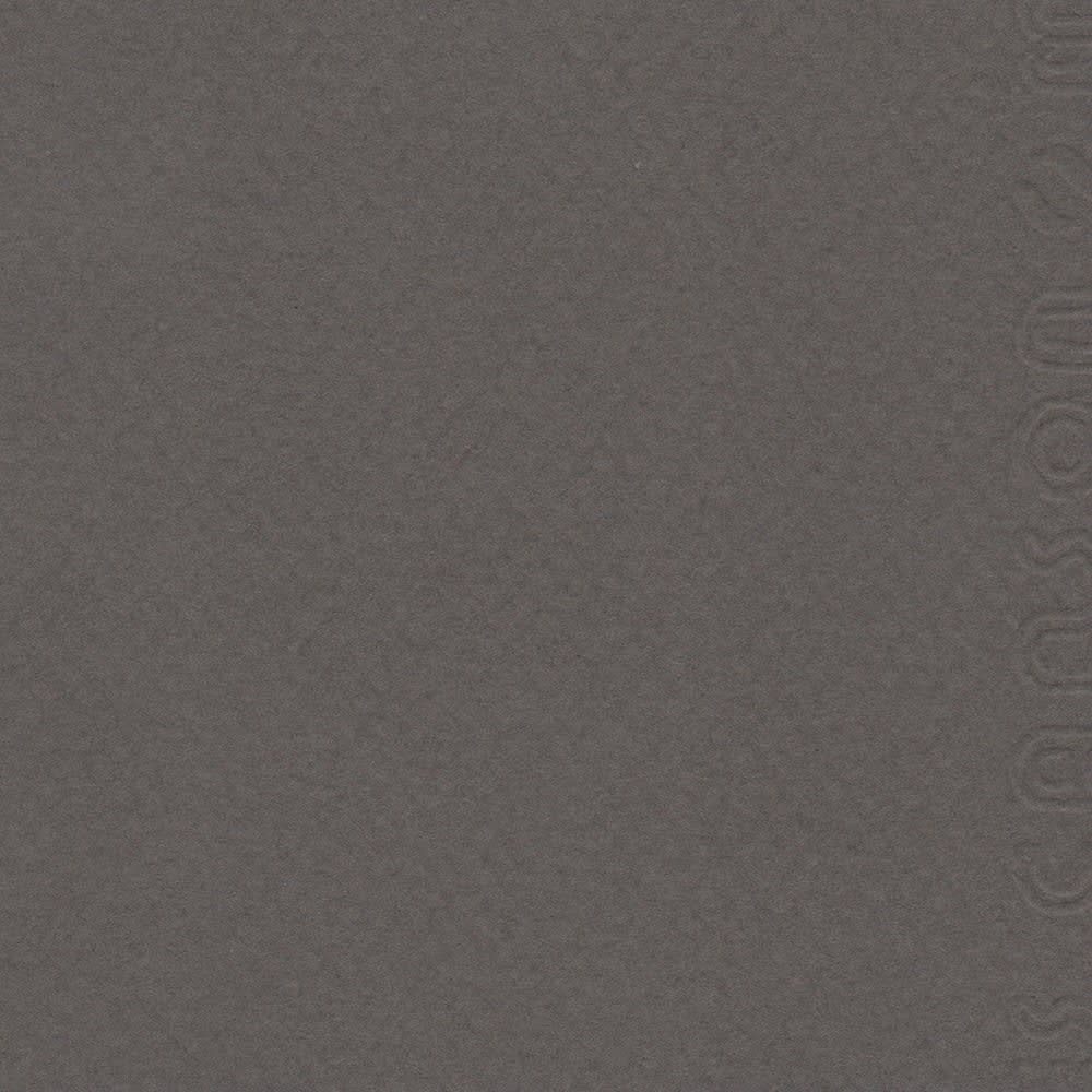 CARTULINA MI-TEINTES 160G (#345) GRIS PIZARRA 50X60CM CANSON1