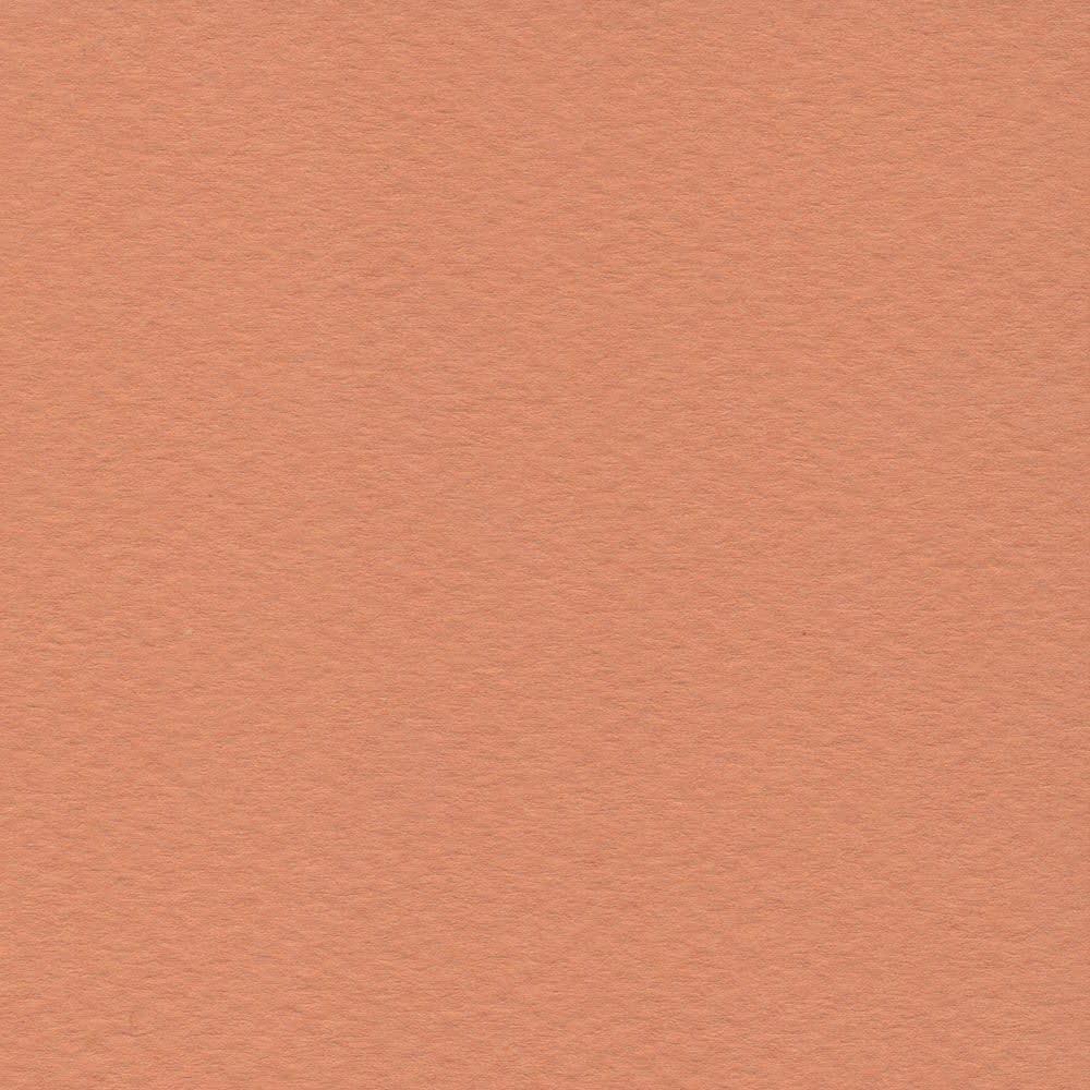 CARTULINA MI-TEINTES 160G (#384) SALMÓN 50X60CM CANSON1