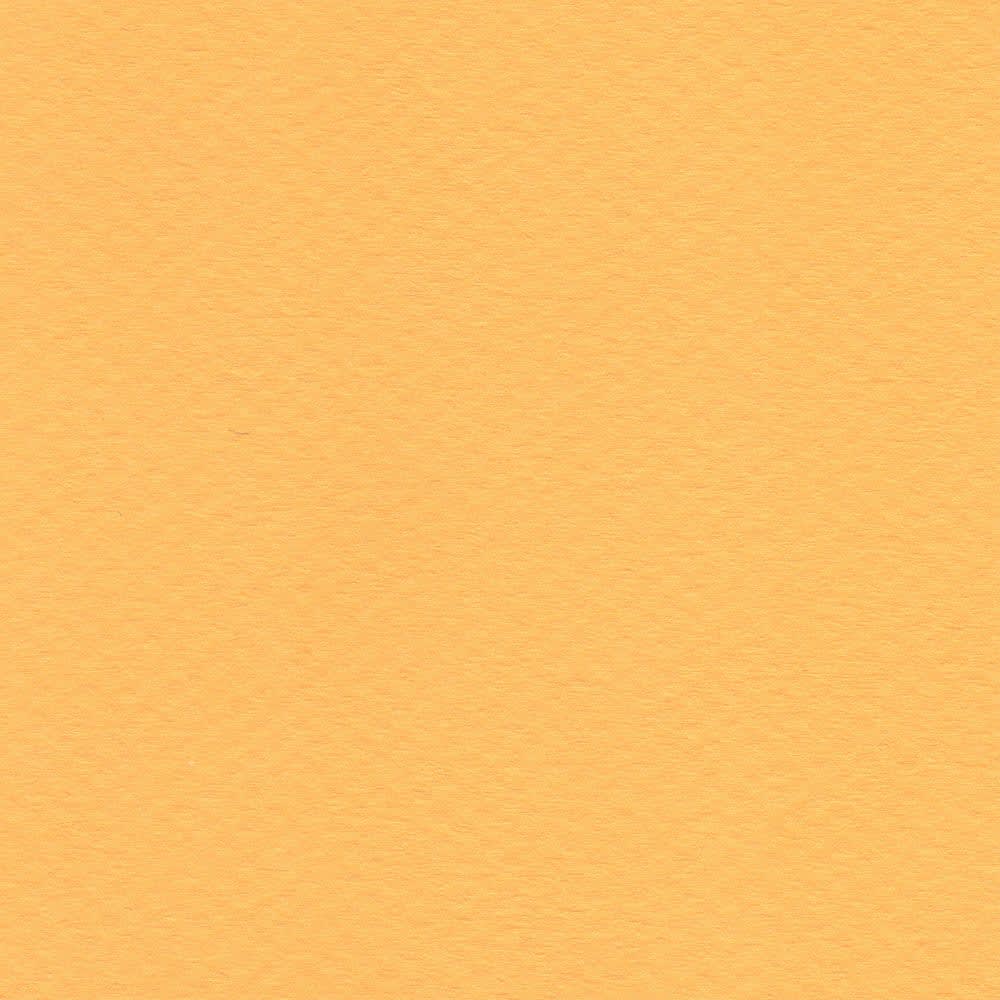 CARTULINA MI-TEINTES 160G (#400) CANARIO 50X60CM CANSON1