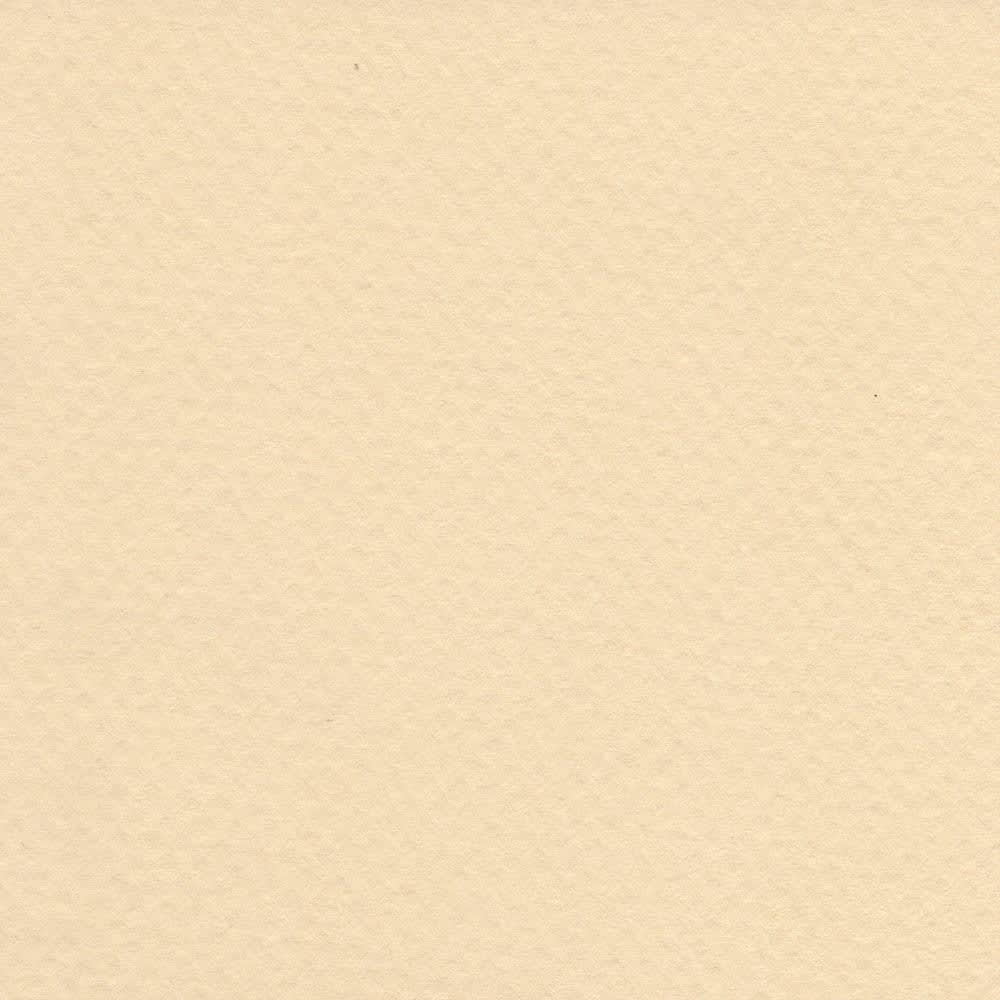 CARTULINA MI-TEINTES 160G (#407) LIQUEN 50X60CM CANSON1