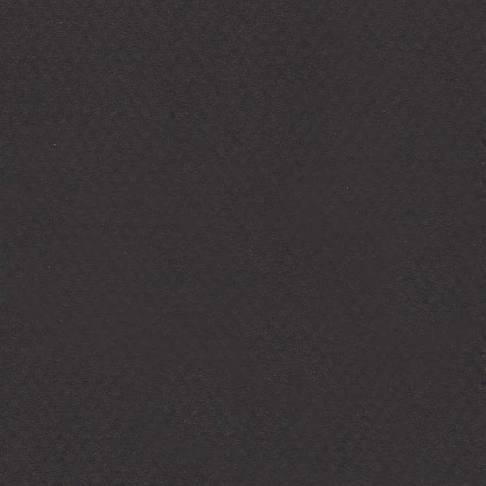 CARTULINA MI-TEINTES 160G (#425) NEGRO 50X60CM CANSON1