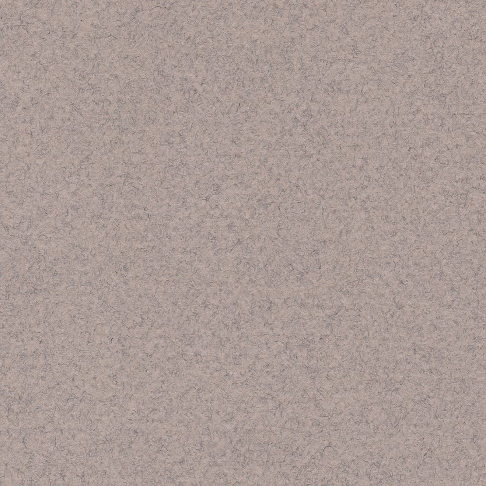 CARTULINA MI-TEINTES 160G (#426) GRIS CLARO 50X60CM CANSON1
