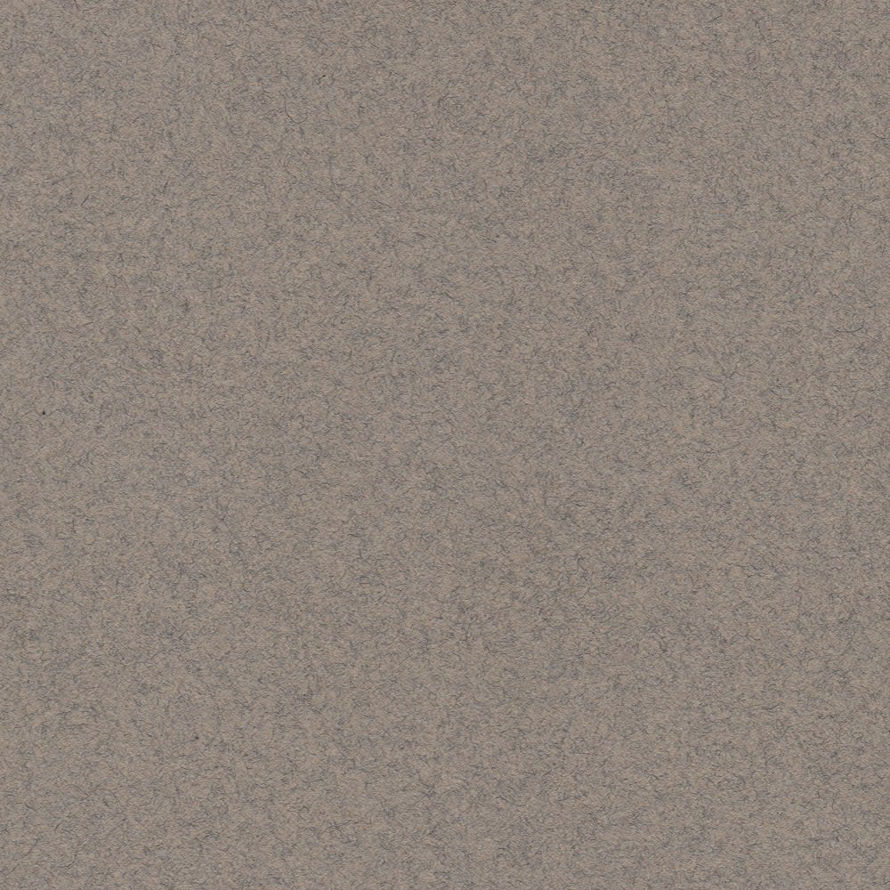 CARTULINA MI-TEINTES 160G (#429) GRIS HUMO 50X60CM CANSON1