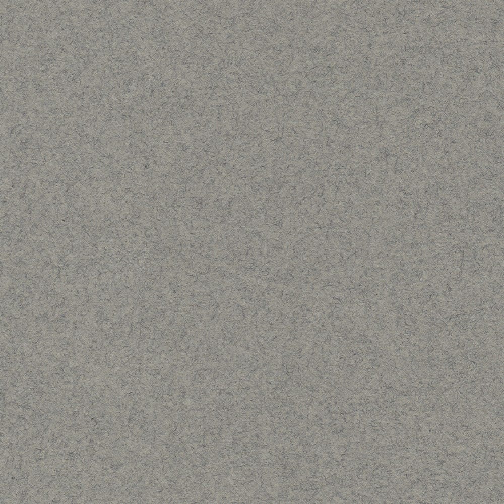 CARTULINA MI-TEINTES 160G (#431) GRIS ACERO 50X60CM CANSON1