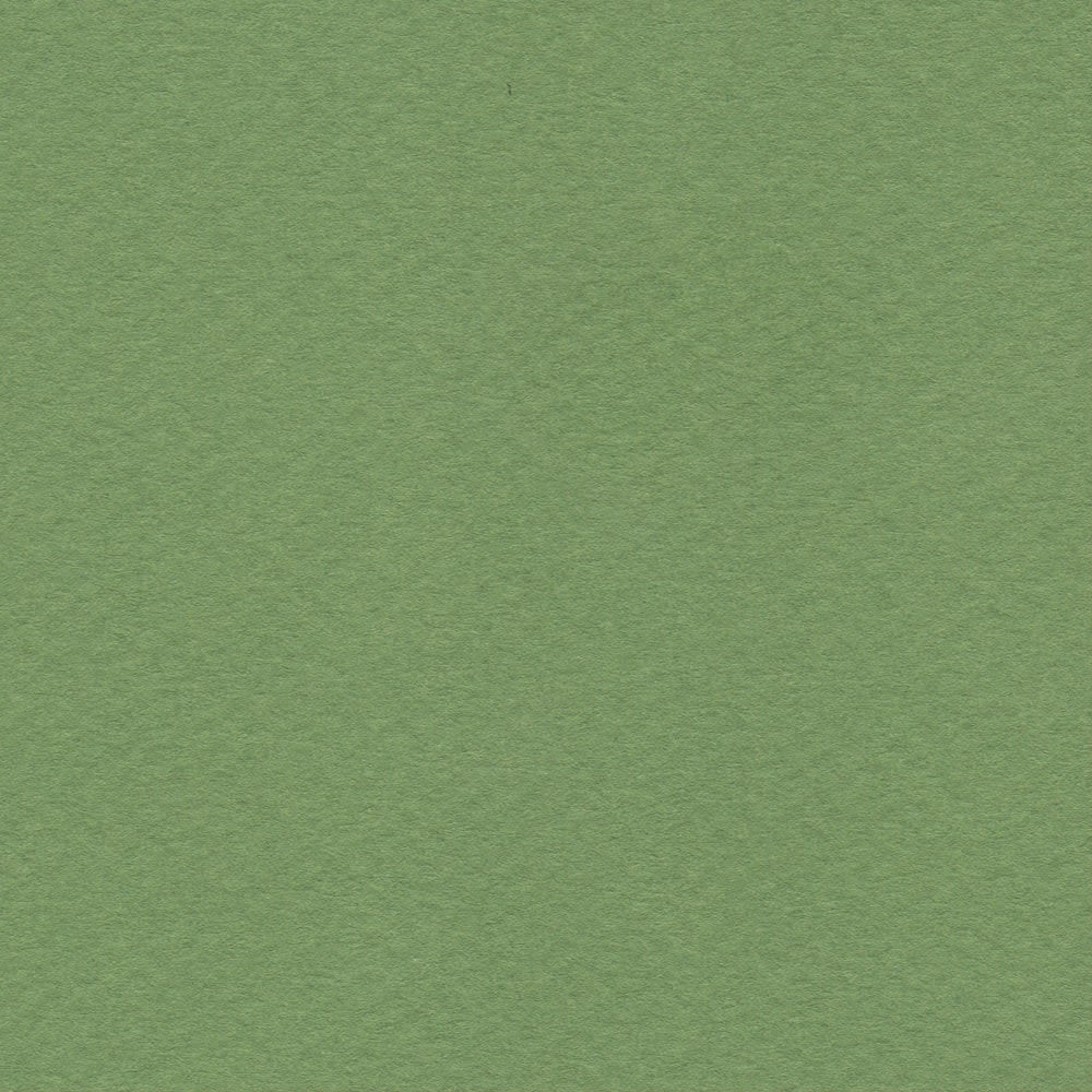 CARTULINA MI-TEINTES 160G (#475) VERDE MANZANA 50X60CM CANSON1