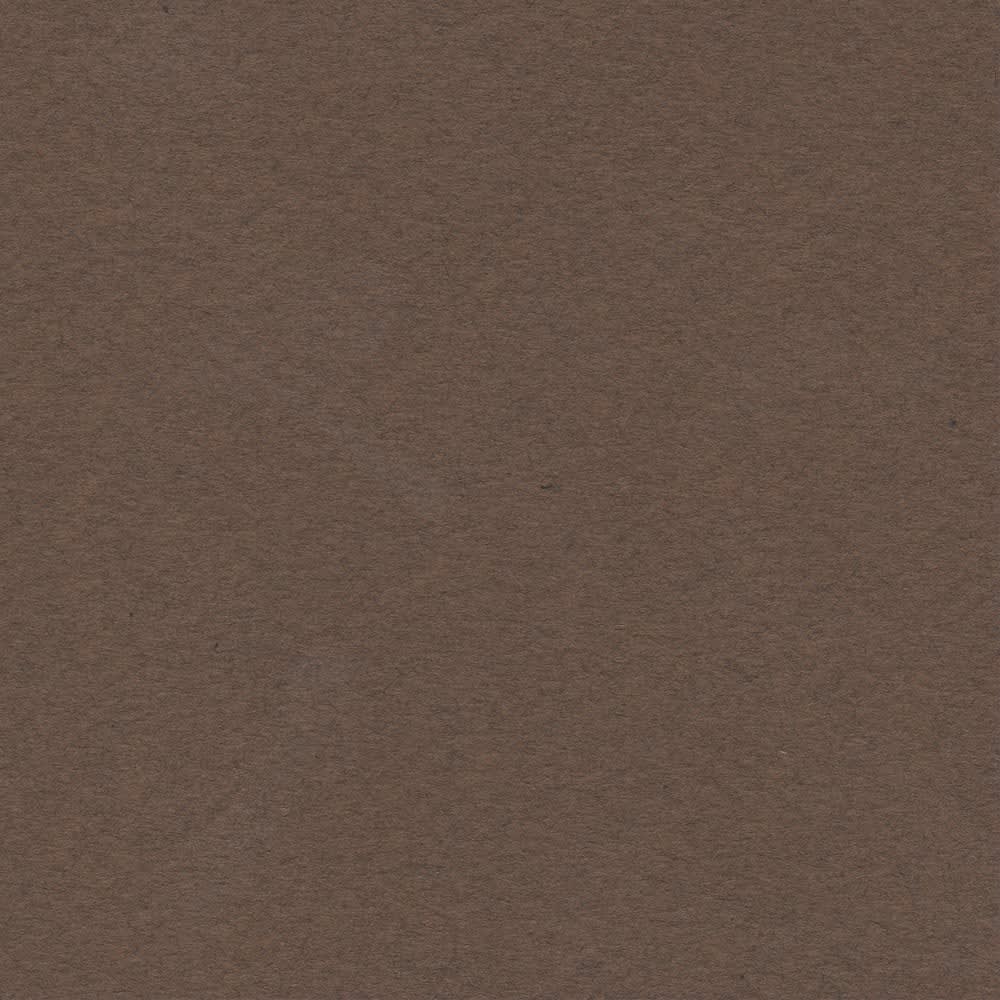 CARTULINA MI-TEINTES 160G (#501) CAFE OSCURO 50X60CM CANSON1