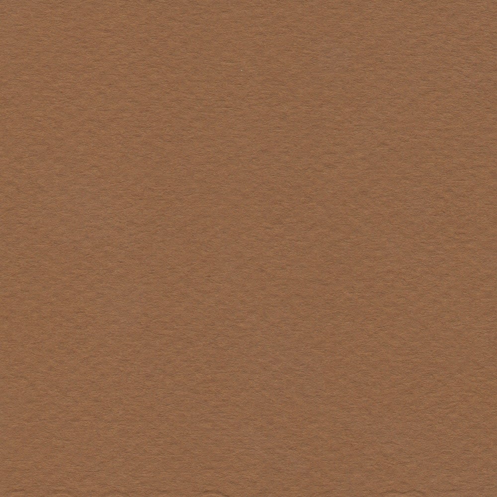 CARTULINA MI-TEINTES 160G (#502) TABACO CLARO 50X60CM CANSON1