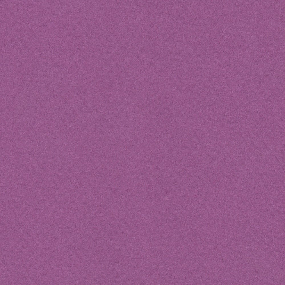 CARTULINA MI-TEINTES 160G (#507) VIOLETA 50X60CM CANSON1
