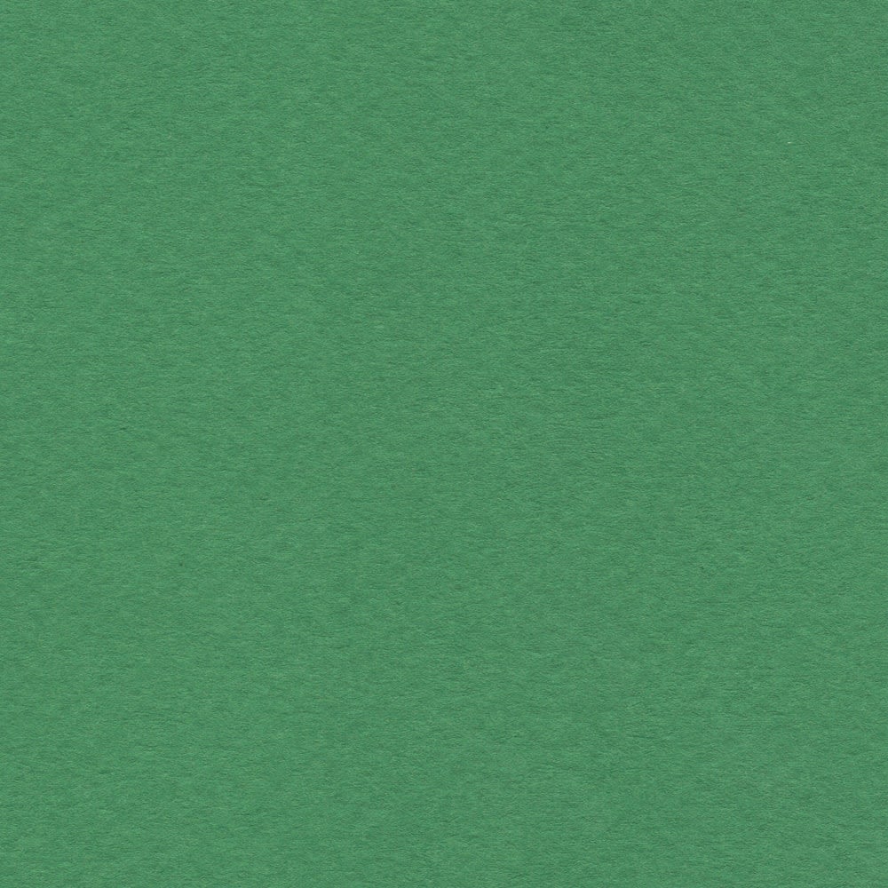 CARTULINA MI-TEINTES 160G (#575) VERDE BILLAR 50X60CM CANSON1