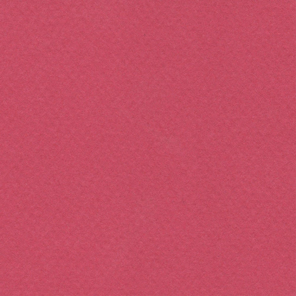 CARTULINA MI-TEINTES 160G (#114) FRAMBUESA 50X60CM CANSON1