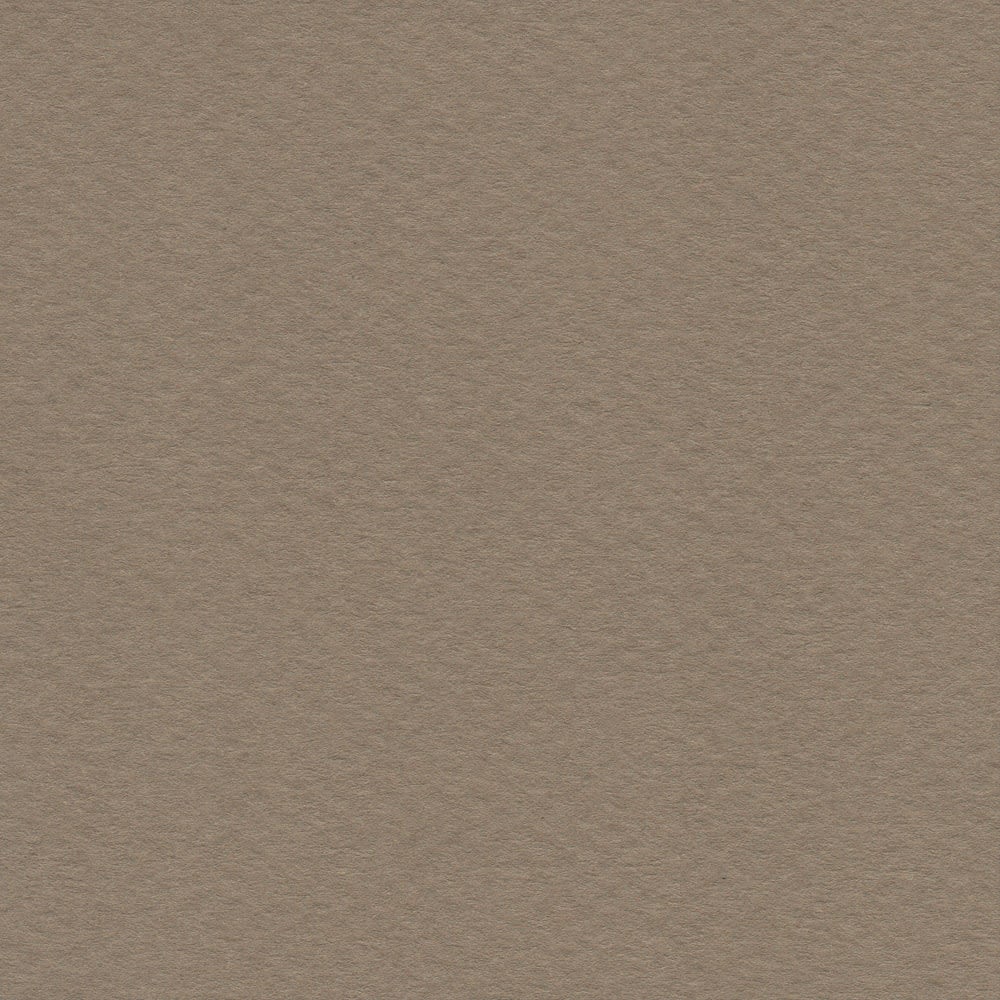 CARTULINA MI-TEINTES 160G (#336) CAUCHO 50X60CM CANSON1