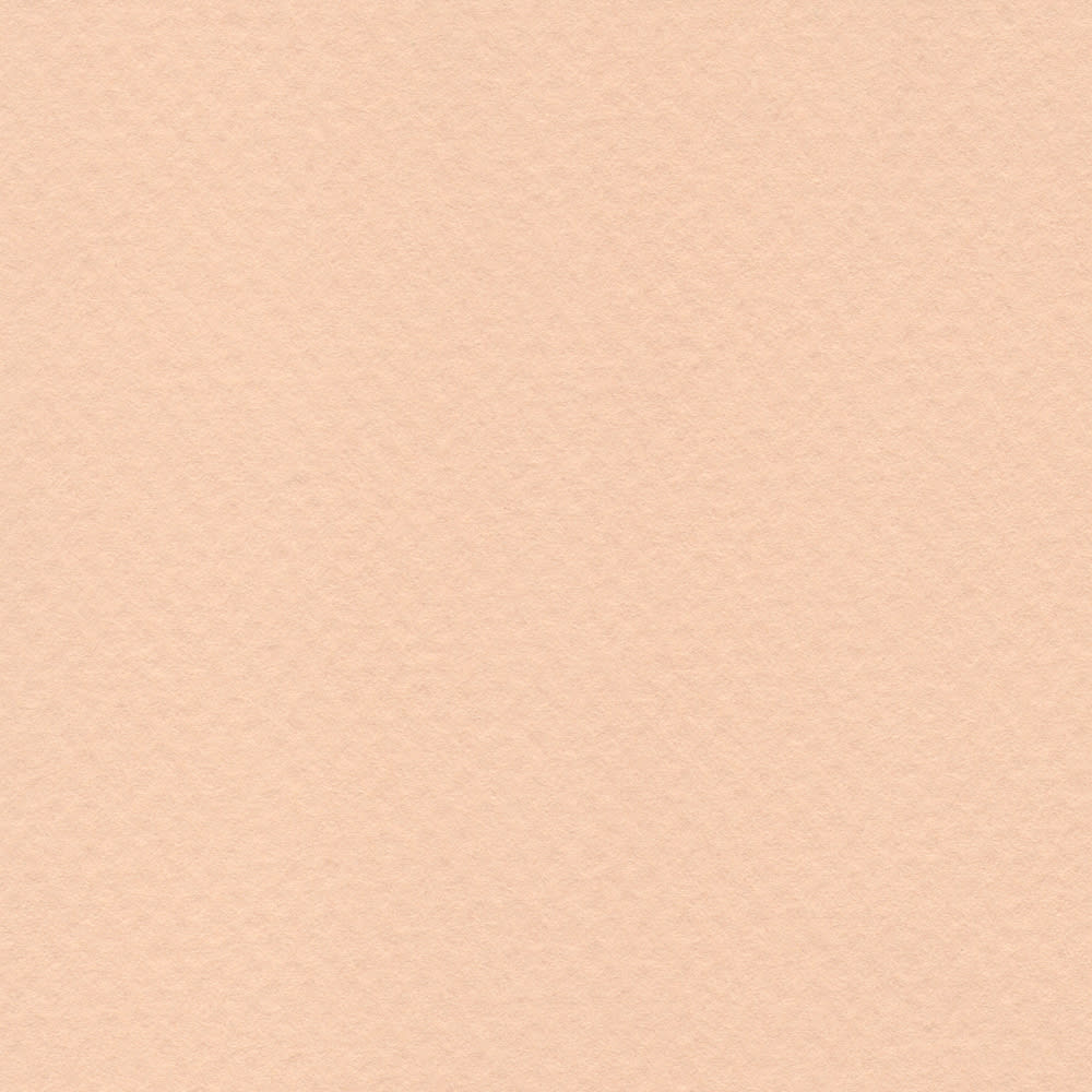 CARTULINA MI-TEINTES 160G (#350) ROSA MURALLA 50X60CM CANSON1