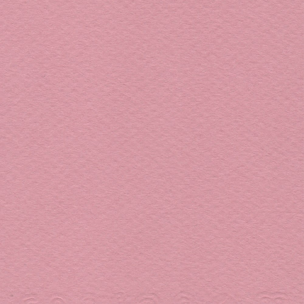 CARTULINA MI-TEINTES 160G (#352) ROSA OSCURO 50X60CM CANSON1