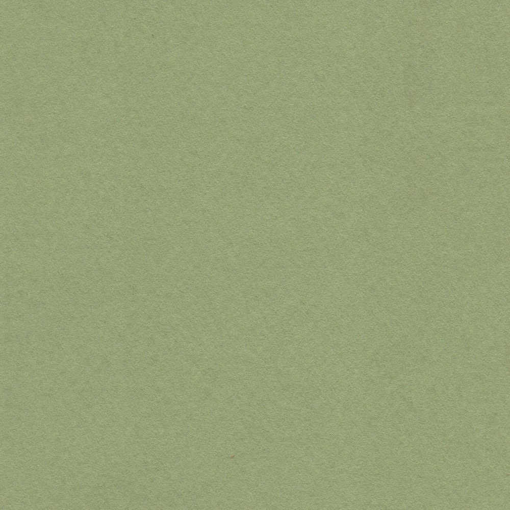 CARTULINA MI-TEINTES 160G (#480) VERDE ALMENDRA 50X60CM CANSON1