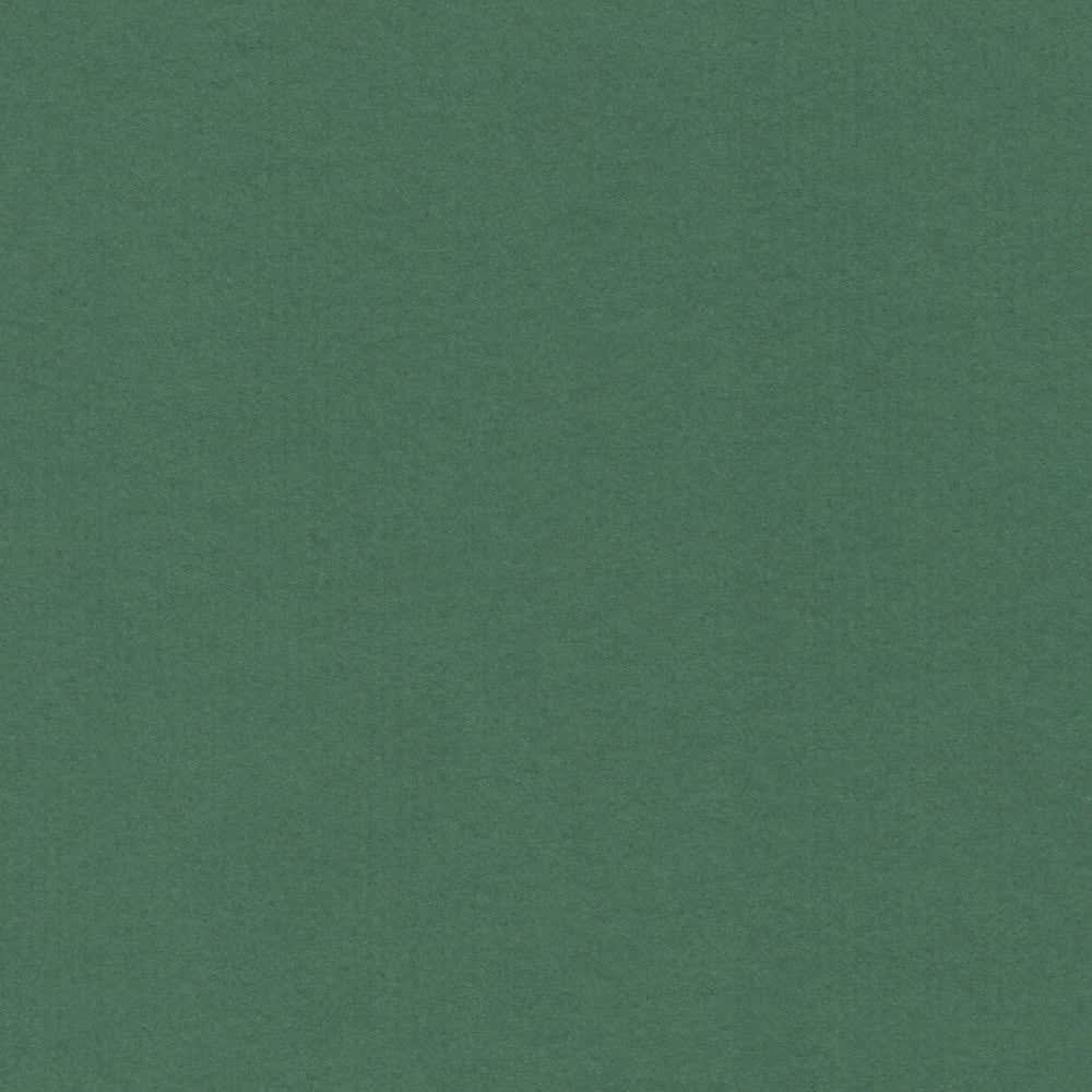 CARTULINA NETTUNO 50X65 140GRS Nº13 VERDE FORESTUCHEA1