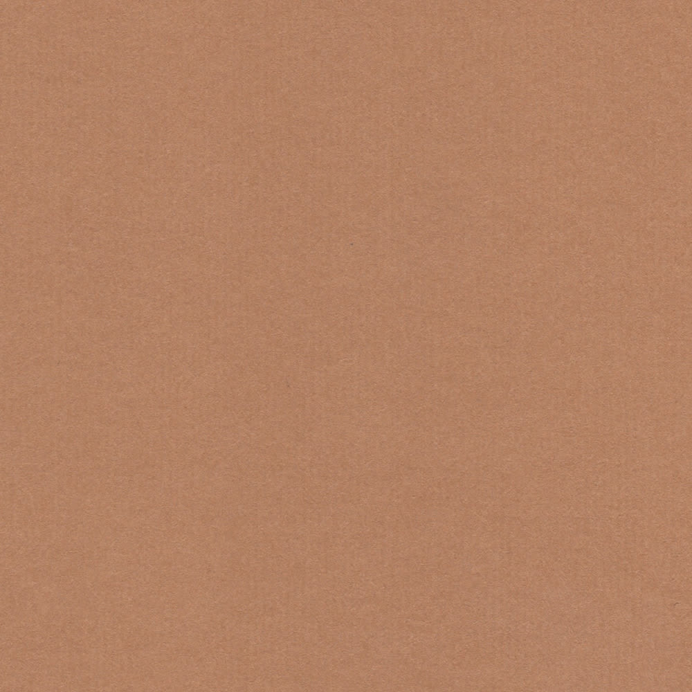 CARTULINA NETTUNO 50X65 140GRS Nº7 CAFE CLARO1