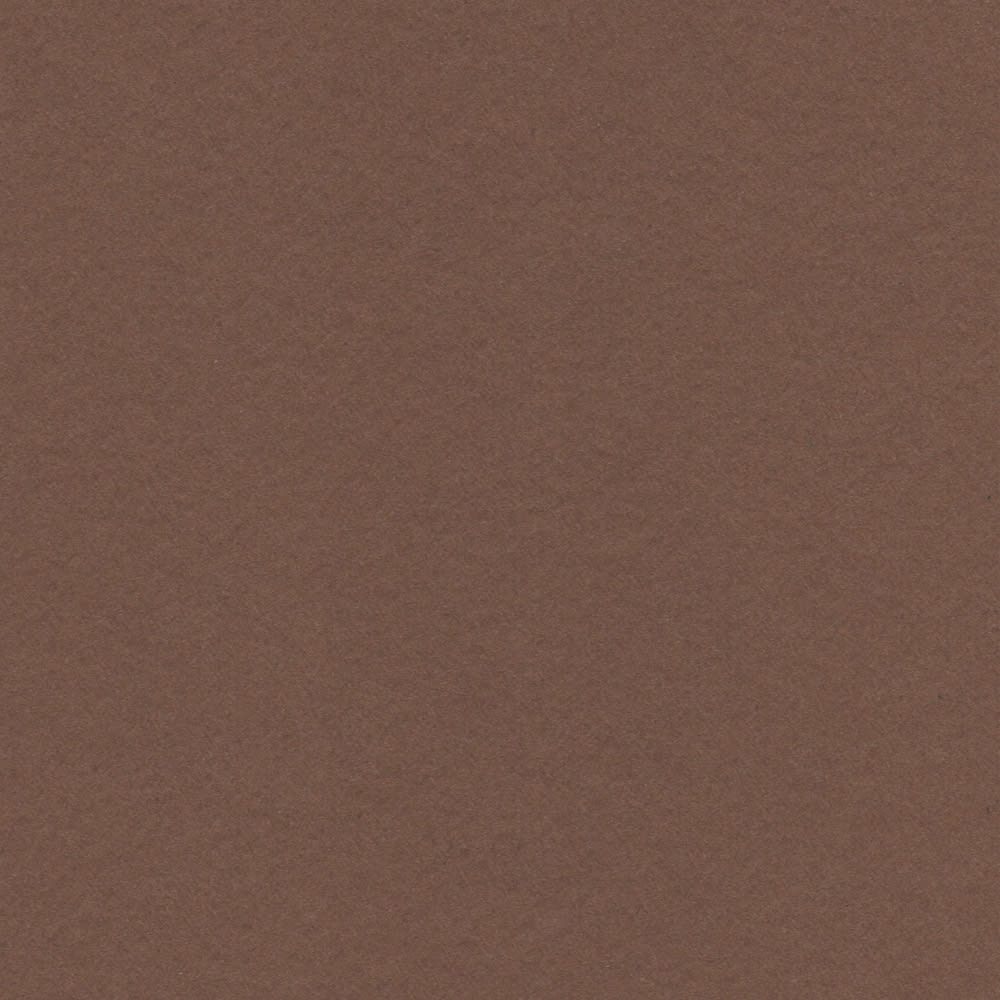 CARTULINA NETTUNO 50X65 140GRS Nº8 TABACCO1