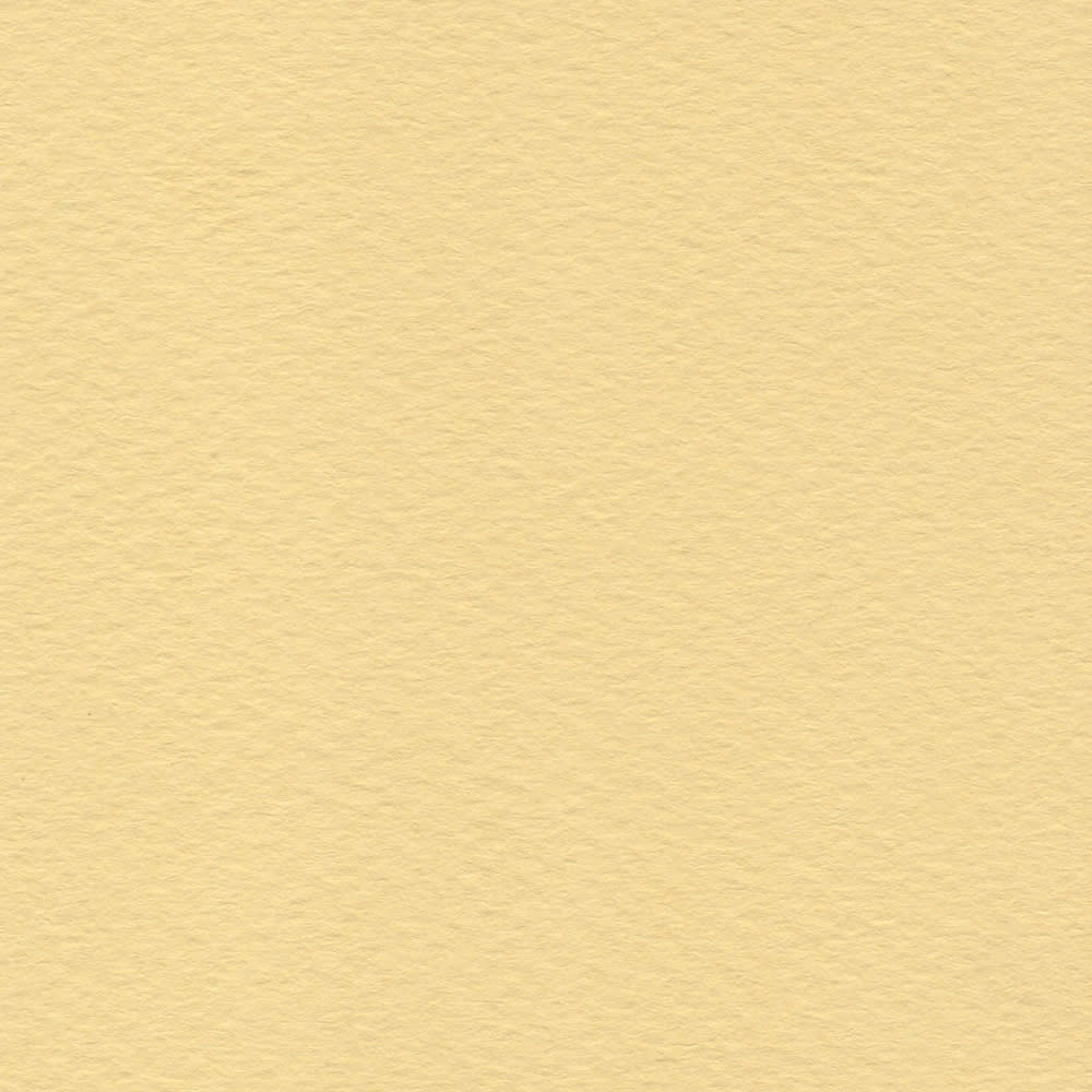 CARTULINA TIZIANO 50X65 160GRS Nº04 SAHARA1