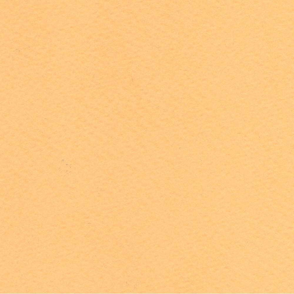 CARTULINA TIZIANO 50X65 160GRS Nº05 ZABAIONE1