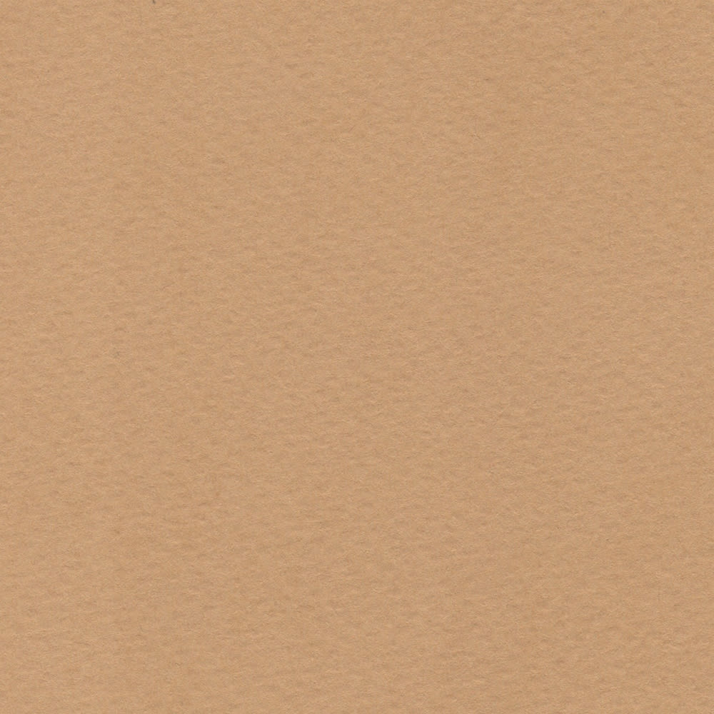 CARTULINA TIZIANO 50X65 160GRS Nº06 MANDORLA1