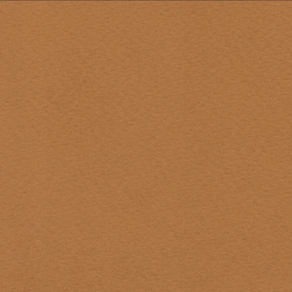 CARTULINA TIZIANO 50X65 160GRS Nº07 SIENA1