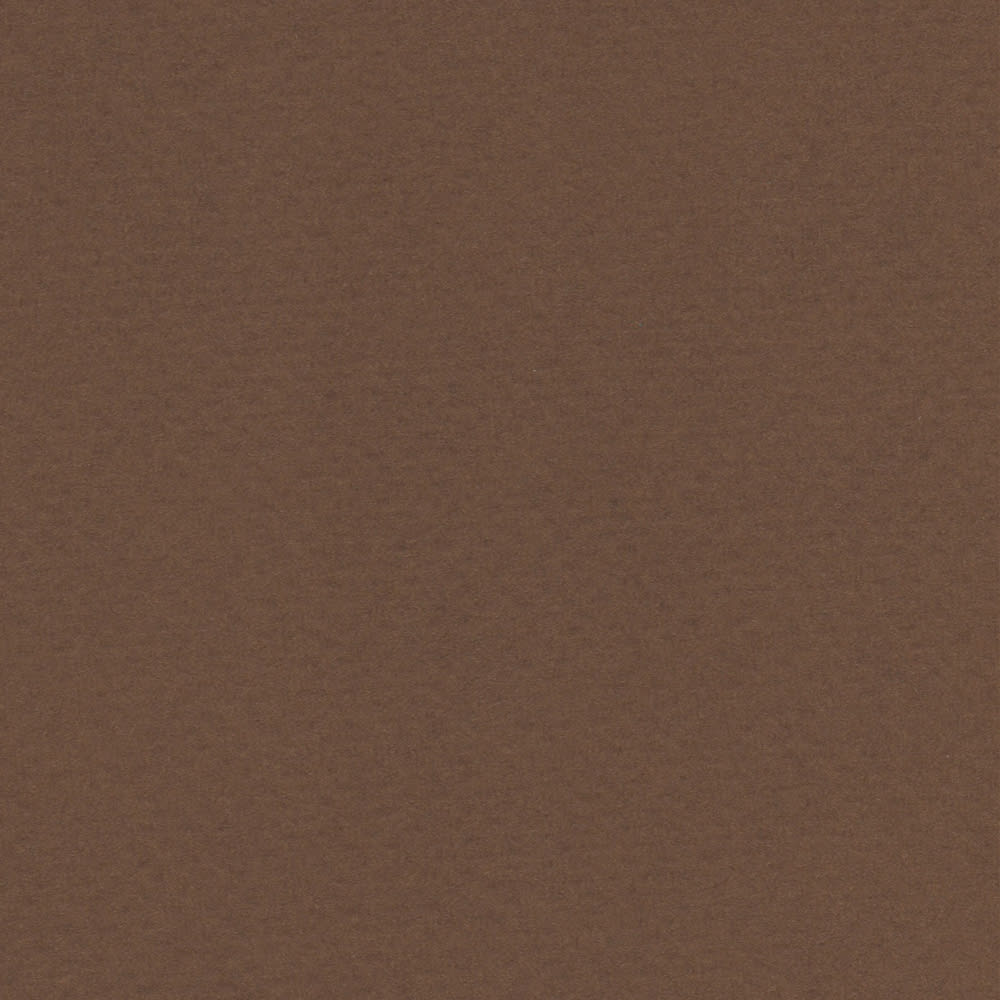 CARTULINA TIZIANO 50X65 160GRS Nº09 CAFE1