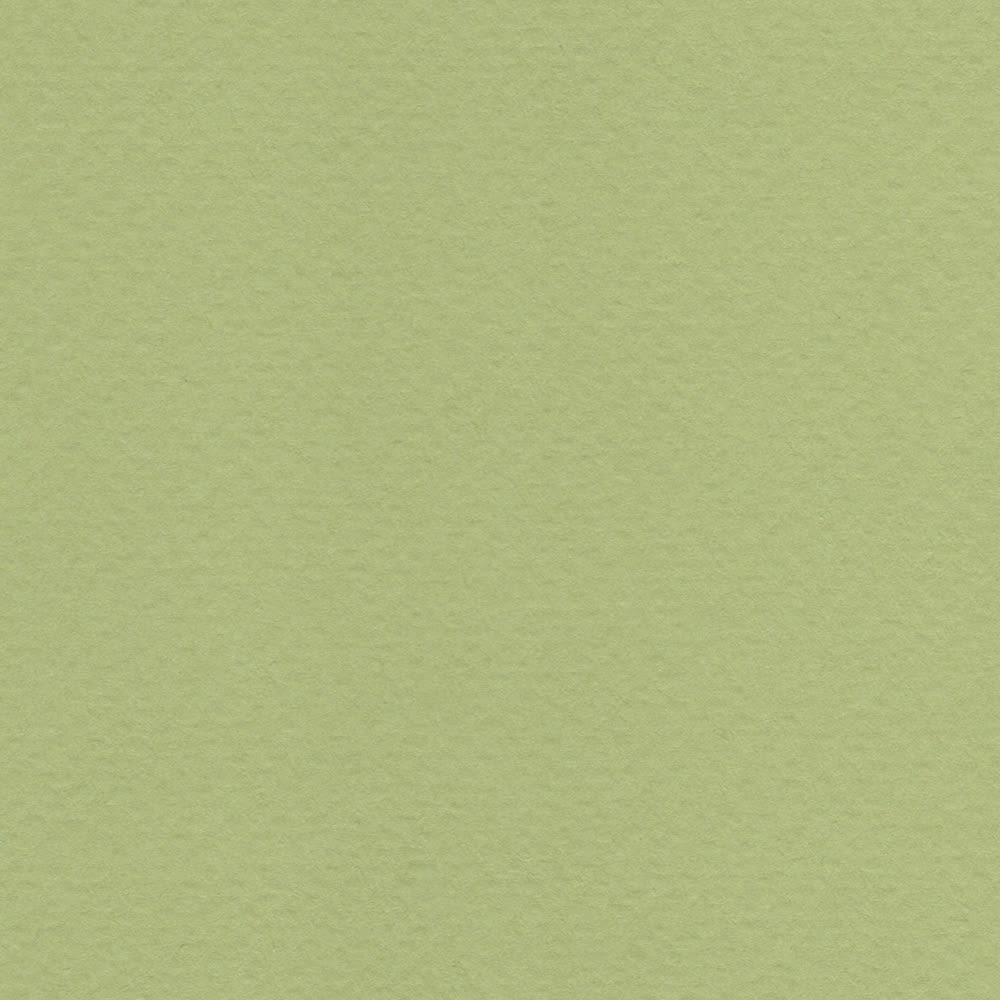 CARTULINA TIZIANO 50X65 160GRS Nº11 VERDUZZO1