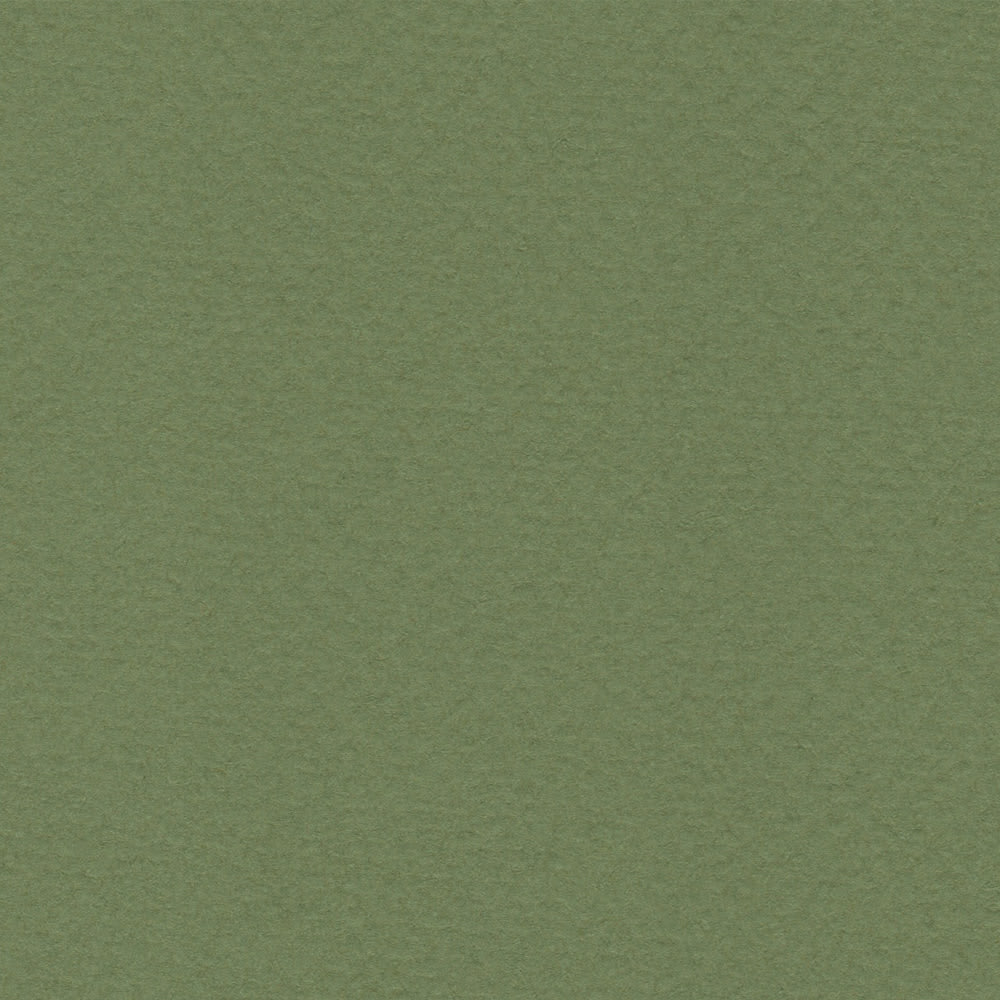 CARTULINA TIZIANO 50X65 160GRS Nº14 MUSCHIO1