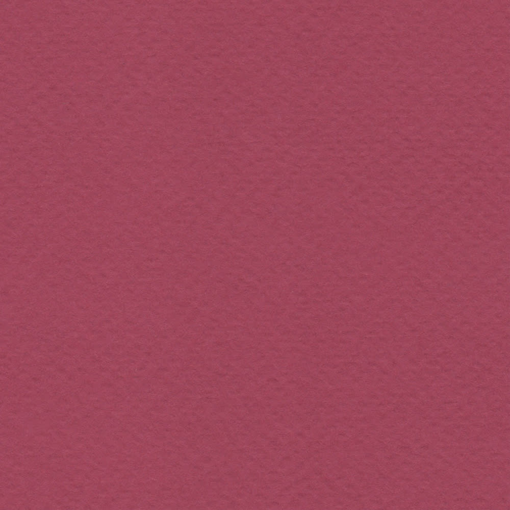 CARTULINA TIZIANO 50X65 160GRS Nº24 VIOLA1