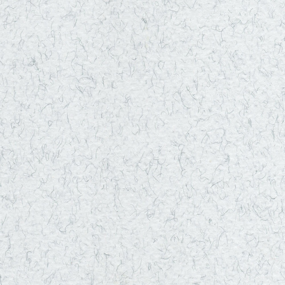CARTULINA TIZIANO 50X65 160GRS Nº32 BRINA1