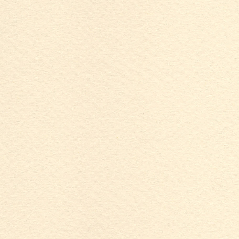 CARTULINA TIZIANO 50X65 160GRS Nº40 AVORIO1