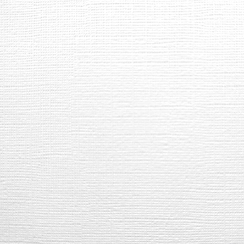 PAPEL OPALINA TELADA 220G OFICIO (100HJ)3