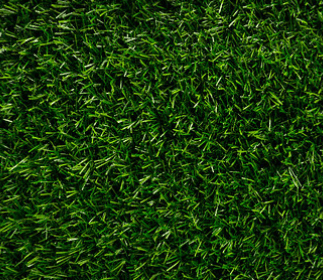 FOLLAJE VERDE 200 GRS1