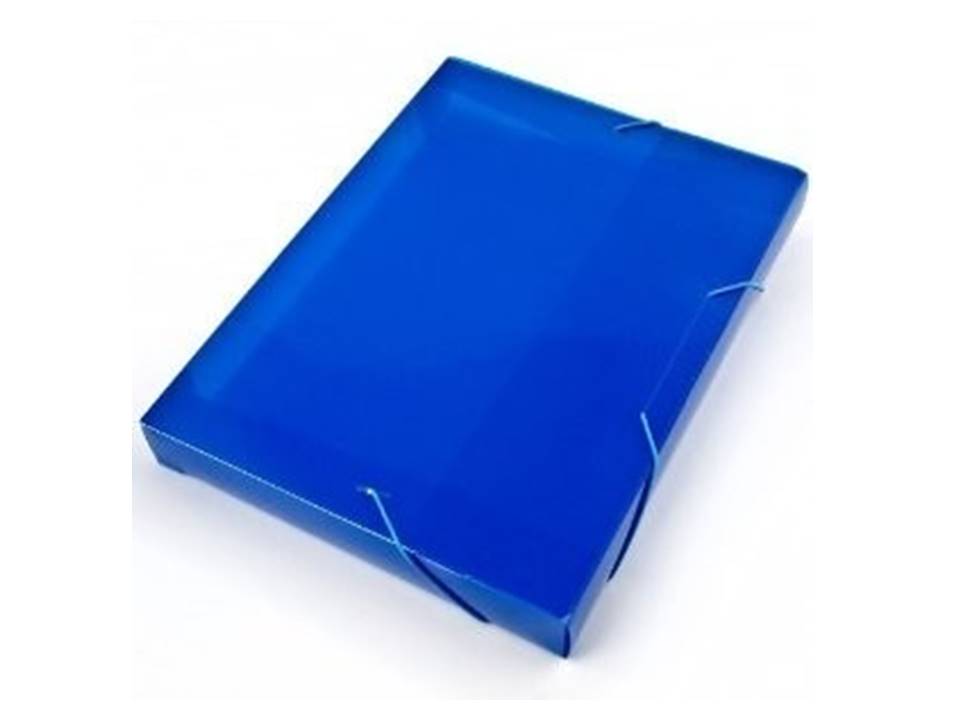 CARPETA PIGMENTADA OFICIO BURDEO BUHO 1