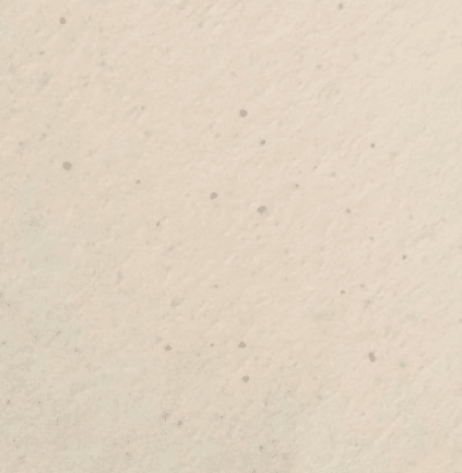 PAPEL RECICLADO CARTA AVORIO ALGA 90GRS 100 HOJAS1