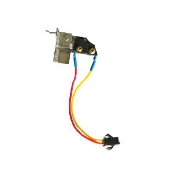 Microswitch calefon Trotter 2 pines sin fijación