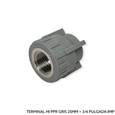 Terminal PPR 25x3/4'' HE 