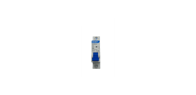 Interruptor automatico 1x2A C 6K 230-240VAC NXB-63 Chint