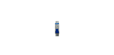 Interruptor automatico 1x50A C 6K 230-240VAC NXB-63 Chint