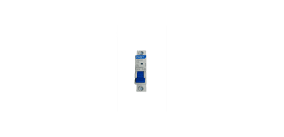 Interruptor automatico 1x63A C 6K 230-240VAC NXB-63 Chint