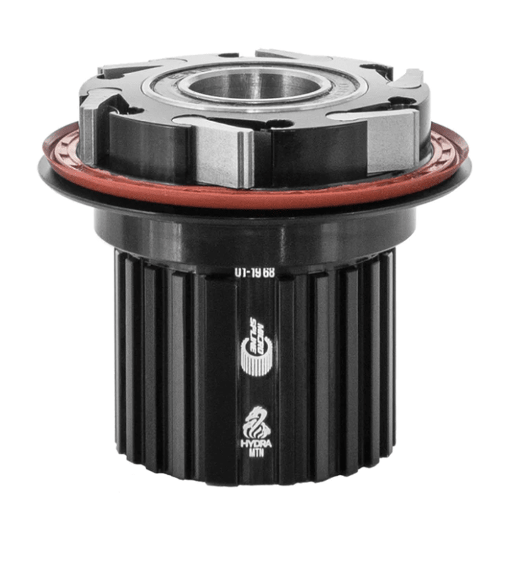 NUCLEO HYDRA  DS ENDCAP1